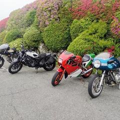 90 over classic (squadra di curry)