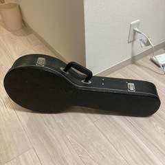 イギリスで購入したマンドリン