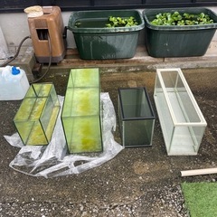 水槽の画像