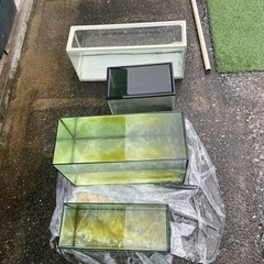 水槽の画像