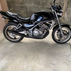 バリオスI型250