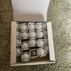 電球、豆電球
