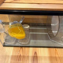 ハムスター用品