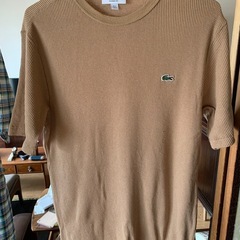 ラコステのシャツとTシャツの画像