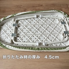 一人暮らし用？アイロン台の画像