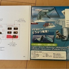 生き物 本 まとめうりの画像