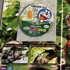 生き物 本 まとめうりの画像