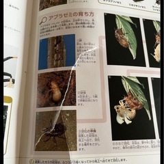 生き物 本 まとめうりの画像