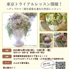 多肉植物寄せ植え体験レッスン