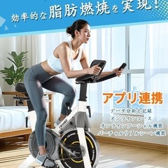 CHAOKE スピンバイクエアロバイク　家庭用 ダイエット器具 組み立て簡単の画像