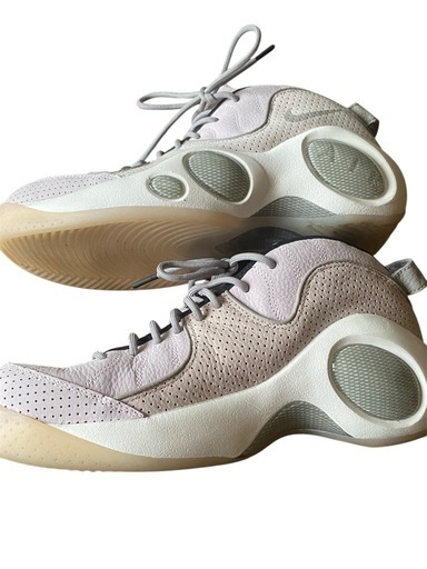【断捨離】NIKE ZOOMFLIGHT95 27.5cm
