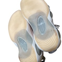【断捨離】NIKE ZOOMFLIGHT95 27.5cmの画像