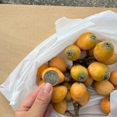 びわ　