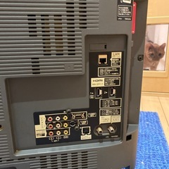 Panasonic TVの画像