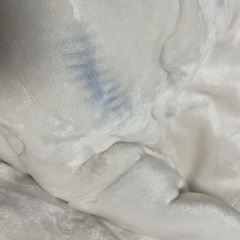 【無料】コタツ布団の画像