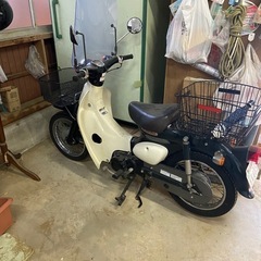 リトルカブ50cc