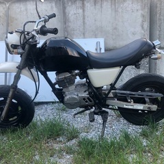 エイプ50