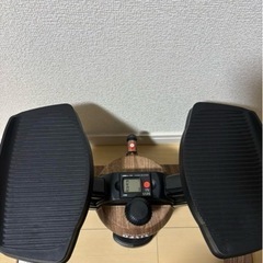 オアシス　ツイストエアロステッパーの画像