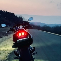 ホーネット250 ヤマモトspecA付き 低走行 の画像