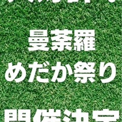 大人気企画‼️😆曼荼羅めだか祭りin響灘ビオトープ🤩🤩