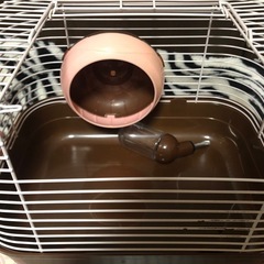 ハムスターケージの画像