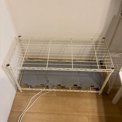 ラックです