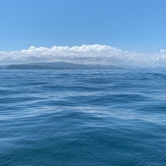 釣り🐟