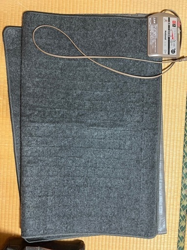 10/21まで！Panasonicナショナル電気カーペット
