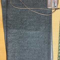 6/13まで！Panasonicナショナル電気カーペット