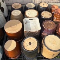 ※無料★¥0-※ 植木鉢 火鉢 瓶　ビンの画像