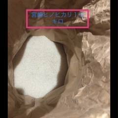 宮崎産 ひのひかり 10キロ
