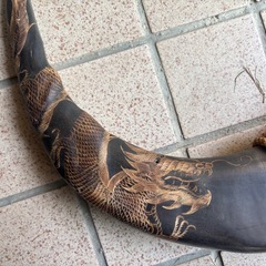 ※終了※無料★¥0-※ 水牛の角 ツノの画像