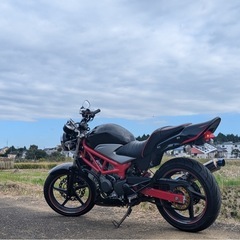 HONDA ホンダ　VTR250 カスタム　バイク　
