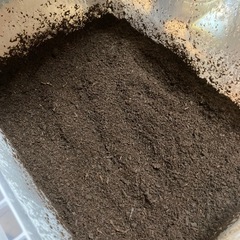 産卵セット カブトムシ