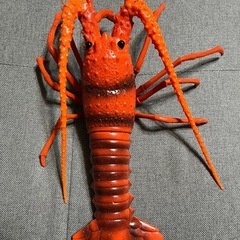 伊勢海老　模型　