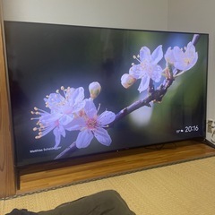 SONY BRAVIA 75型