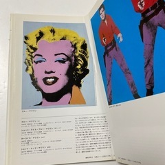 西洋絵画の巨匠 9 ウォーホル　初版の画像