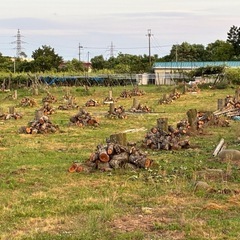 NO72 薪 梨の玉切り 軽トラ350kg3500円　引取り限定(福島市)の画像