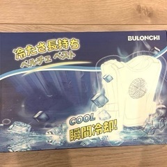 ペルチェ ベスト　超大冷却面・冷却ブレート付きの画像