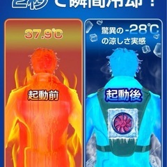 ペルチェ ベスト　超大冷却面・冷却ブレート付きの画像