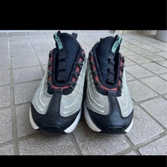 【ナイキ】Air Max ZM950の画像