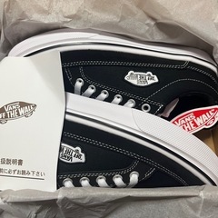 VANS ヴァンズ FINN フィン V3938 BLACK/W...