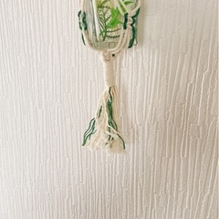マクラメハンガー 観葉植物用 クリーム・緑の画像
