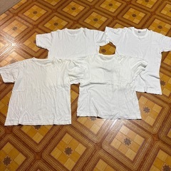 白Tシャツ　　４枚　　LL：1枚、MかLサイズ：3枚