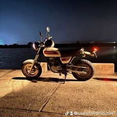 エイプ50fi最終