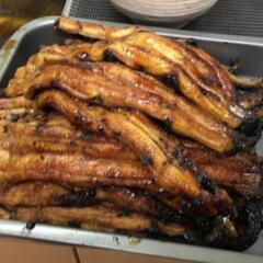 ㉙うなぎ釣りなら鰻遊会✨　　　　　　ライングルチャメンバー募集中❗ - メンバー募集