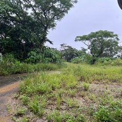 「名護でリアル開拓メンバー募集！草刈りから始まる秘密基地計画🌿」