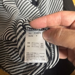 重ね着風カットソーの画像
