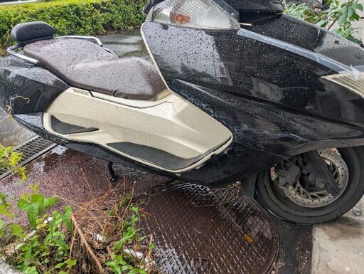 YAMAHA　MAXAM　実動車