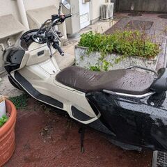 YAMAHA　MAXAM　実動車の画像